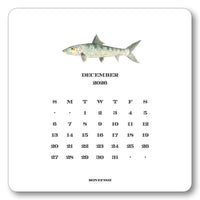 2026 Saltwater Fish Calendar Refill