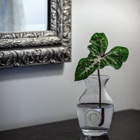 Monogrammed Bouquet Vase