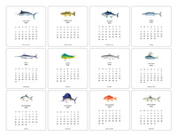 2026 Saltwater Fish Calendar Refill