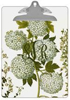 Pale Hydrangea Clipboard