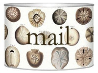 Sand Dollars Letter Box