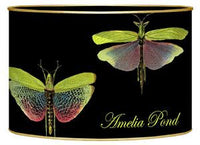 Dragonflies on Black Letter Box