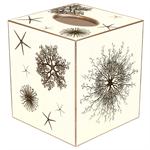 Sea Urchins Tissue Box Cover