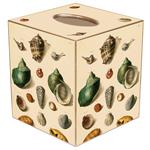 Shells on Cream Tissue Box Cover