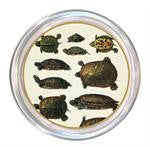 Monogrammed Turtles Coaster