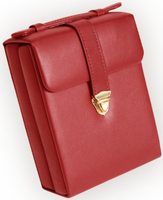 Suede Lined Jewelry Case