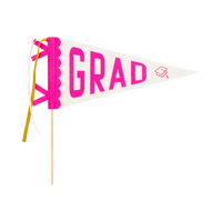 Pink Grad Felt Pennant Banner
