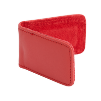 Magnetic Money Clip
