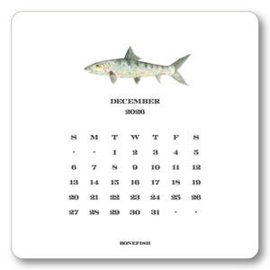 2026 Saltwater Fish Calendar Refill