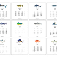 2026 Saltwater Fish Calendar Refill