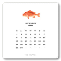 2026 Saltwater Fish Calendar Refill
