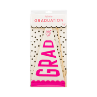 Pink Grad Felt Pennant Banner
