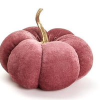 Autumn Blush Pumpkins