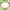 Green Damask Square Sticker