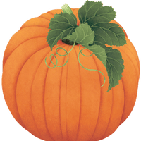 Pumpkin Die-Cut Placemat by Caspari