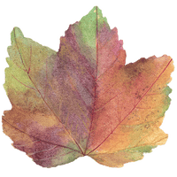 Autumn Leaf Die-Cut Placemat by Caspari