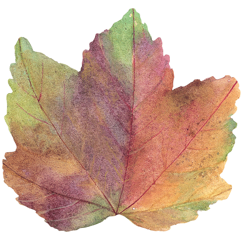 Autumn Leaf Die-Cut Placemat by Caspari