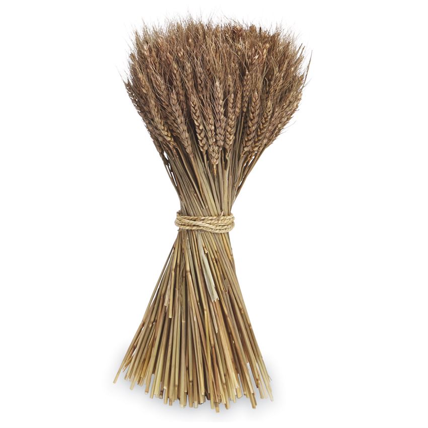 Wheat Bundle