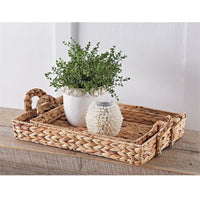 Water Hyacinth Trays
