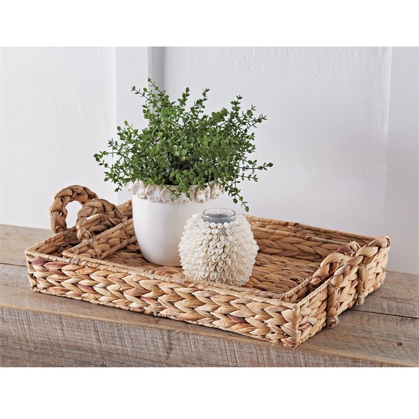 Water Hyacinth Trays
