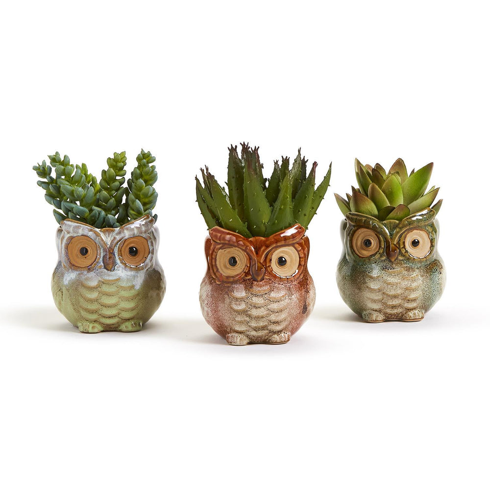 Owelsom Mini Owl Cachepot or Vase
