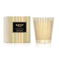 Nest Birchwood Pine Classic Candle