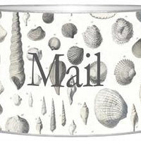 Grey Shells Letter Box
