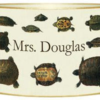 Turtles Letter Box