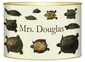 Turtles Letter Box