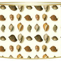 Pale Shells Letter Box