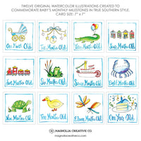 Baby Milestone Cards
