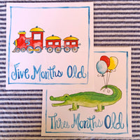 Baby Milestone Cards