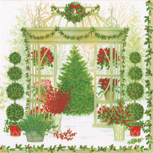 Winter Conservatory Beverage Napkins