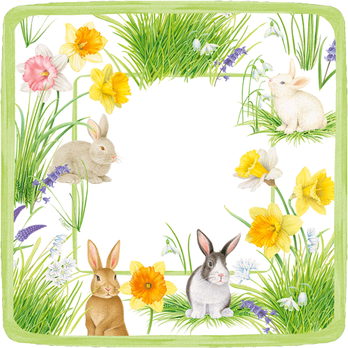 Bunnies & Daffodils Square Dessert Plates