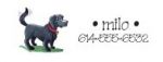 Black Lab Address Label