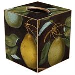 Pears on Antique Brown Tissue Box Covers
