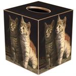 Two Kittens Tissue Box Cover
