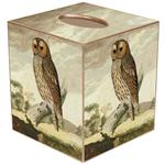 Tawny Owl Tissue Box Cover