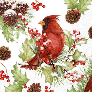 Cardinals In Holly Christmas Cocktail Napkins