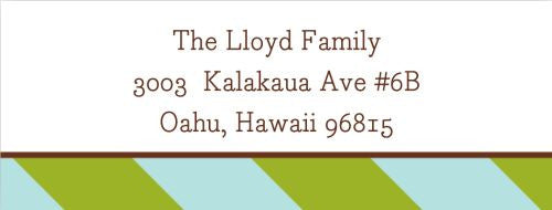 Stripes Aqua and Olive Address Label