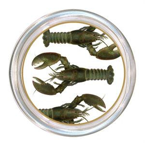 Monogrammed Fresh Lobster Coaster