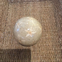 Sand/Starfish Ball 5"