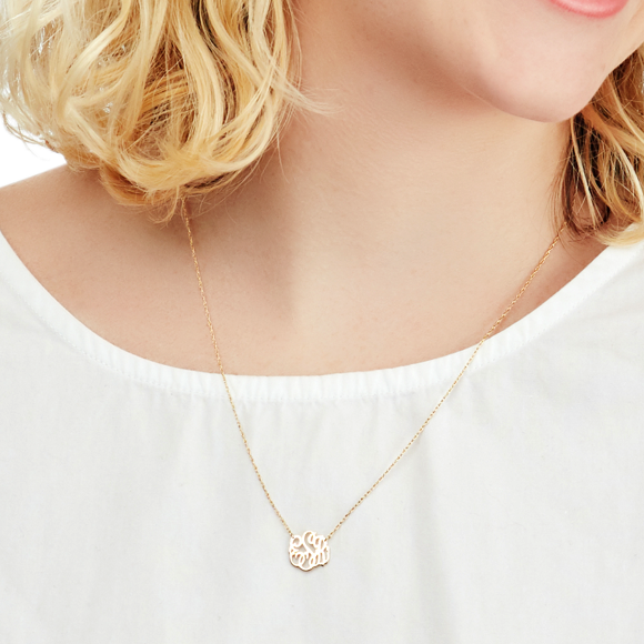 Alex and ani initial necklace on sale