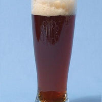 Monogrammed Acrylic Bar Pilsners