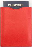 RFID Blocking Passport Sleeve
