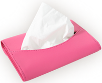 Tissue Holder

